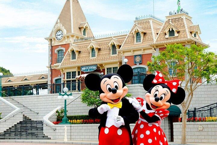 Disneyland Private 2 - Serviço de transferência
