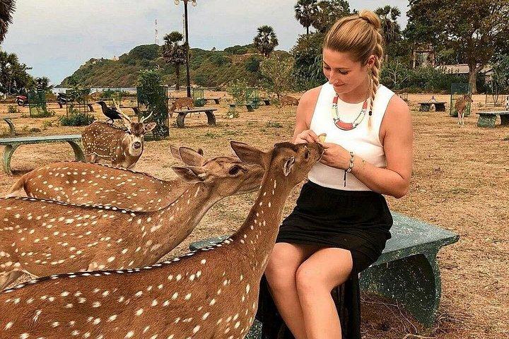 複数日にわたるカスタマイズ可能なスリランカツアーを強く推奨