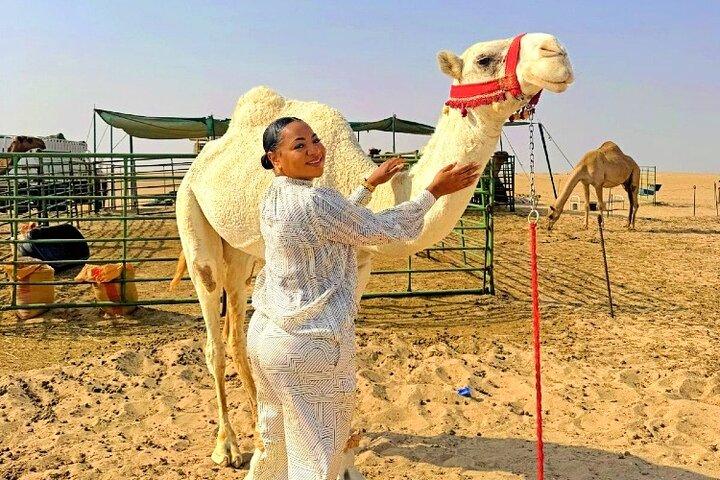 Tour con licenza per un'intera giornata a Kuwait City e nel deserto