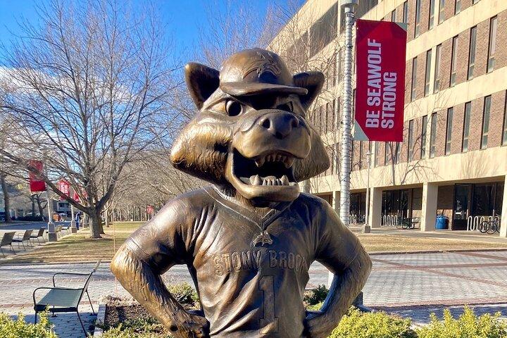 Stony Brook University Scavenger jagt og flugt spil