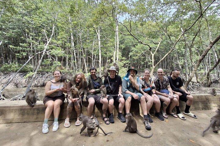 Can Gio Mangrove Adventure : Schnellboot mit Affeninsel