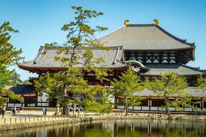 Excursion à Nara et Osaka depuis Osaka ou le port de Kobe