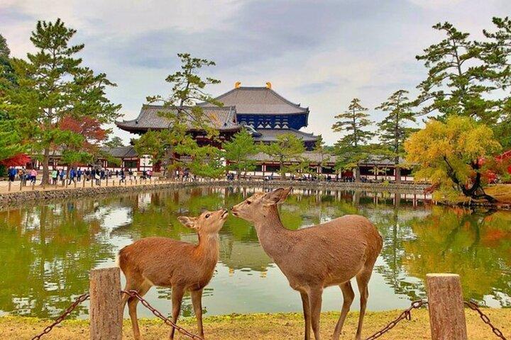 Excursion à Nara et Osaka depuis Osaka ou le port de Kobe