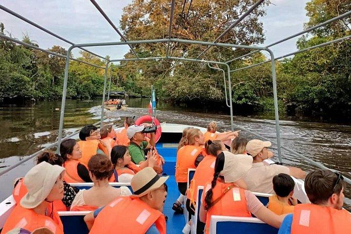 サバ州クリアス川クルーズ日帰りツアー
