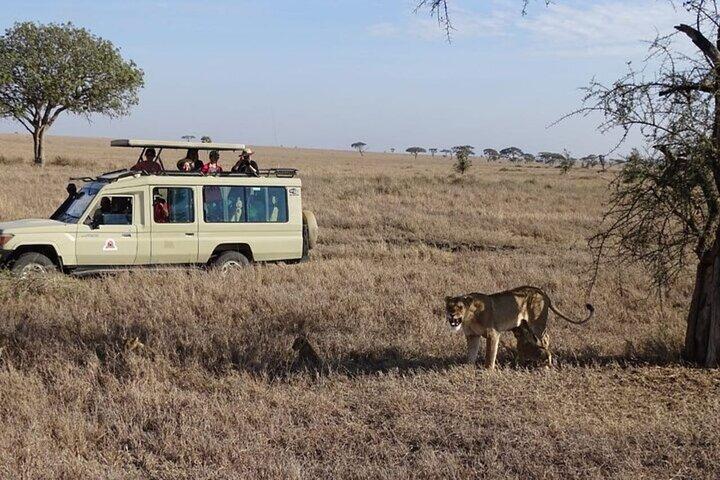 3 daagse kleine groepssafari naar Maasai Mara met vreemde talen