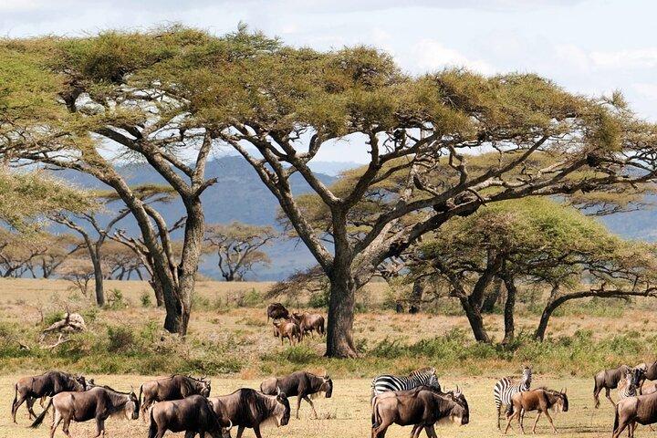 Forfait privé Nairobi 6 - Journée Aventure