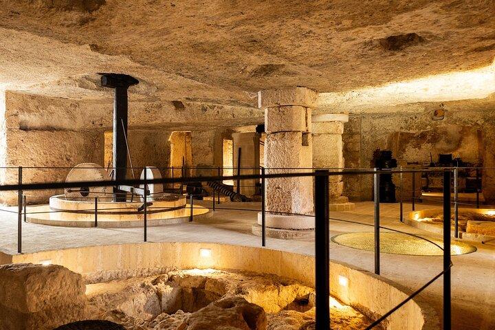 Musée de l'huile d'olive - Frantoio Ipogeo Medievale - Fasano