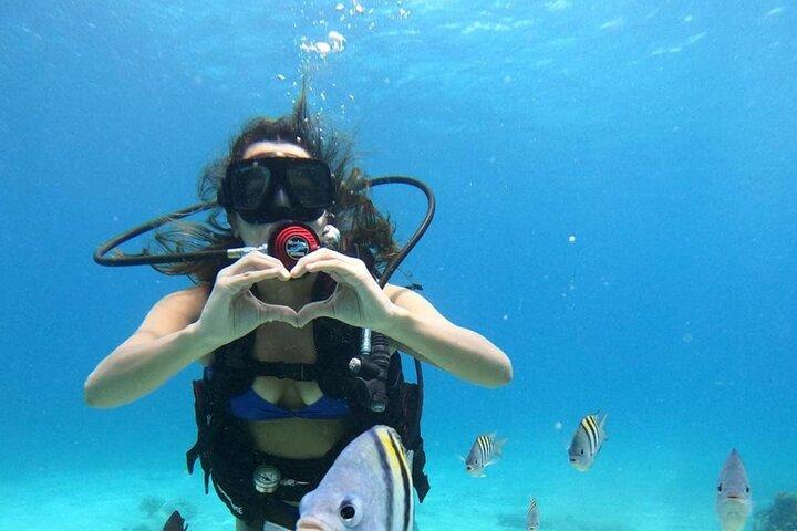 Cozumel Discover スキューバダイビング