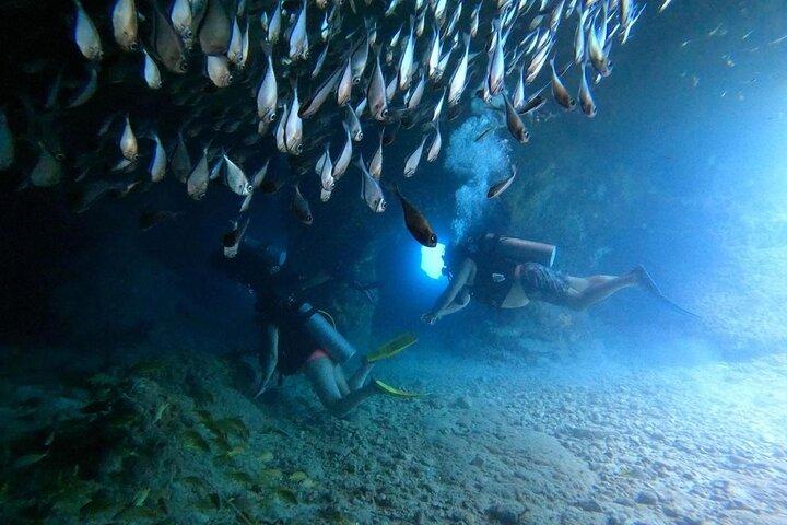 Upptäck Scuba på Chankanaab