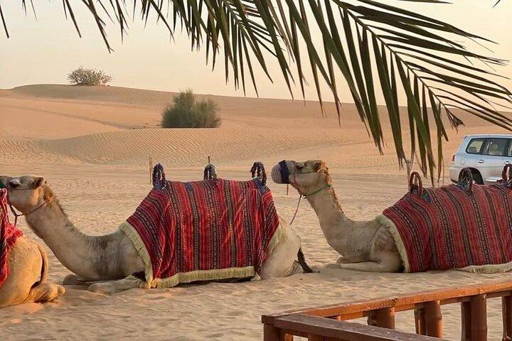 2 uur Quad en Kamelen Avontuur in Marrakech Palmeraie