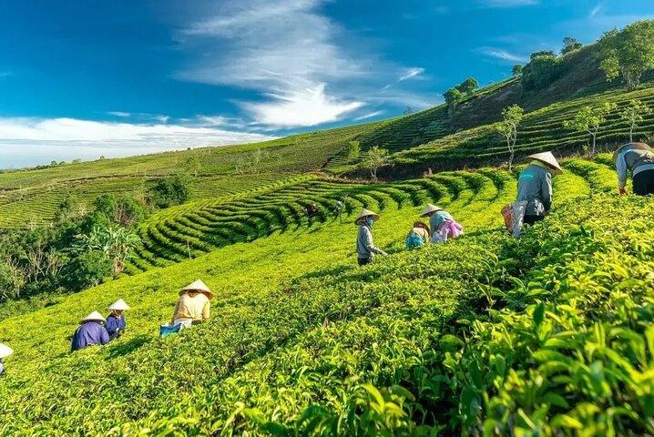 DA Lat Dawn Adventure: Montanhas, Nuvens e Natureza