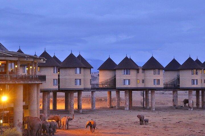 2DAYS SALTLICK SAFARI（最低2パック）