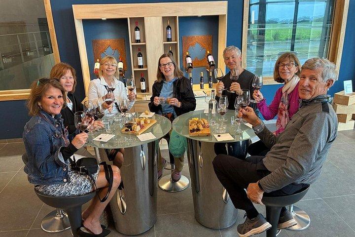From Bordeaux: Half-Day Wine Tasting Tour