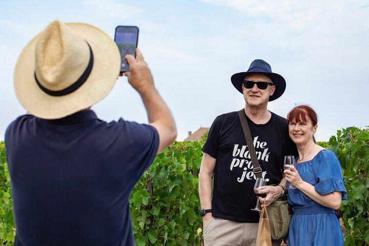 From Bordeaux: Half-Day Wine Tasting Tour