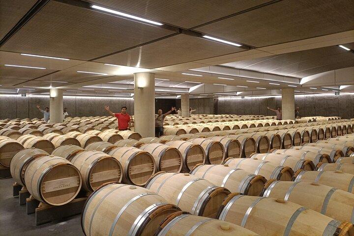 From Bordeaux: Half-Day Wine Tasting Tour