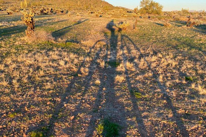 Arizona Desert Geführtes E-Bike Abenteuer
