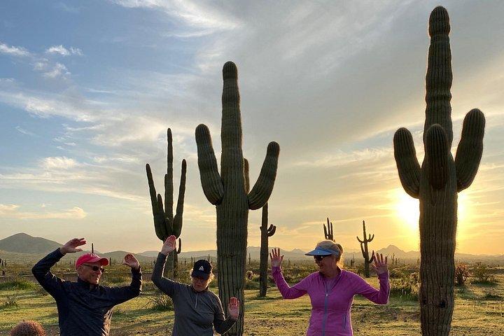 Arizona Desert Geführtes E-Bike Abenteuer