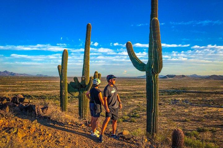 Arizona Desert Geführtes E-Bike Abenteuer