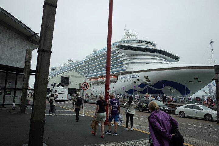 Transfer Private Seaport : Londres para/de Dover Cruise Terminal