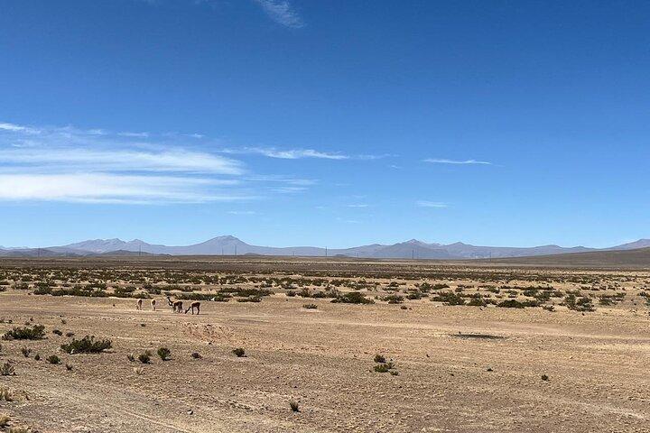 アレキパからコルカ渓谷への出発、1泊2日