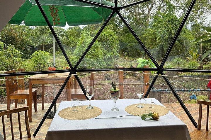 エコドームロッジに滞在して、ゾウガメや溶岩トンネルを探検しよう