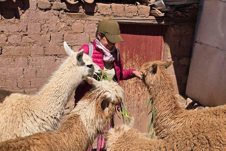 City Tour Cusco Private Transport