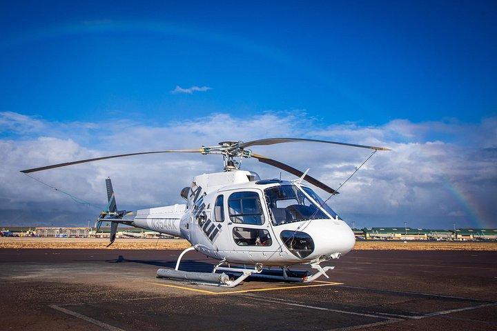 バーズアイビュー30分マウイ島ヘリコプターツアー