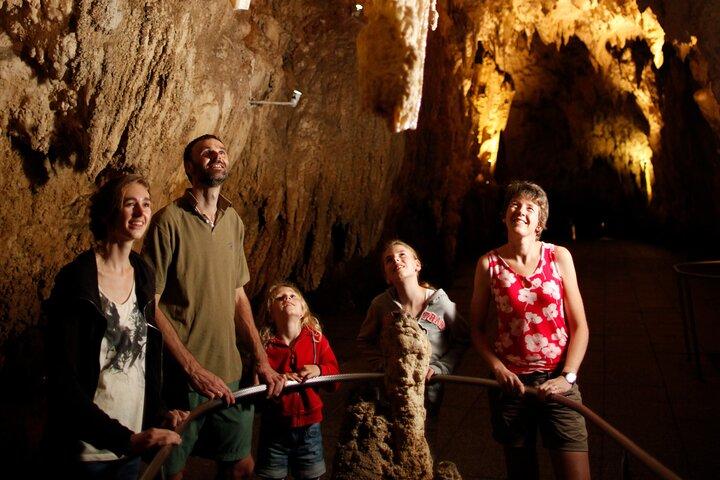 Tour de un día de Auckland a Waitomo Glowworms, Kiwi House y Blue Springs