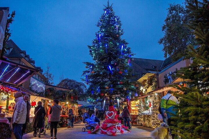 Fra Colmar med Alsace julemarkeder tur