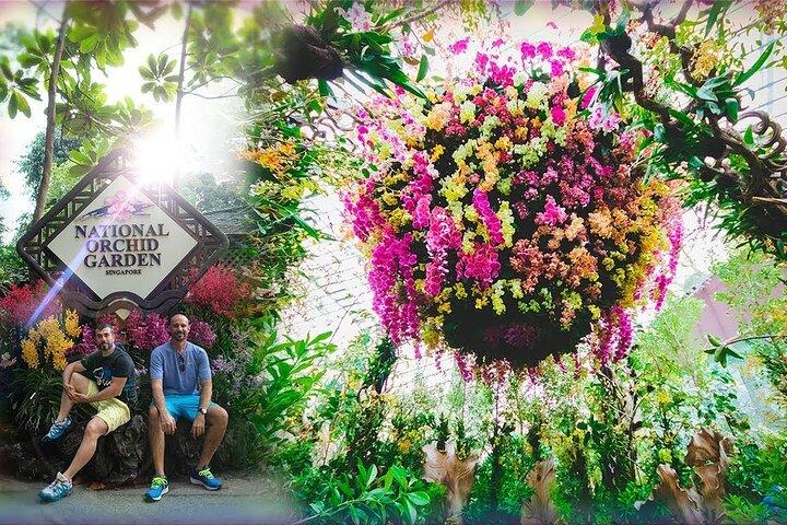 Singapur National Orchideengarten Eintrittskarte