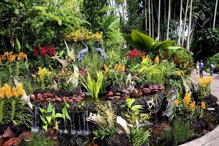 Singapur National Orchideengarten Eintrittskarte