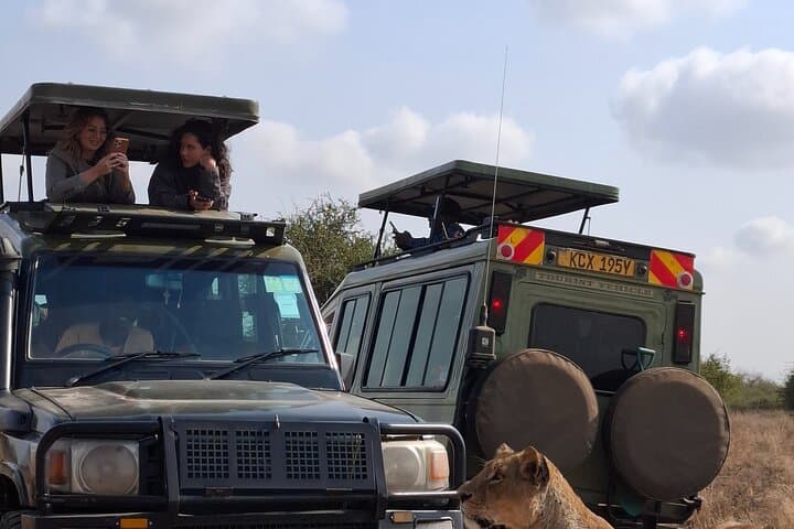 Private Nairobi National Park Safari in 4x4 Land Cruiser