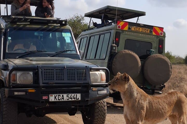 Private Nairobi National Park Safari in 4x4 Land Cruiser