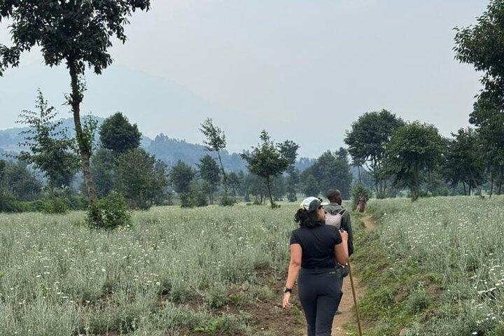 Aventure de randonnée d'une journée au Mont Bisoke