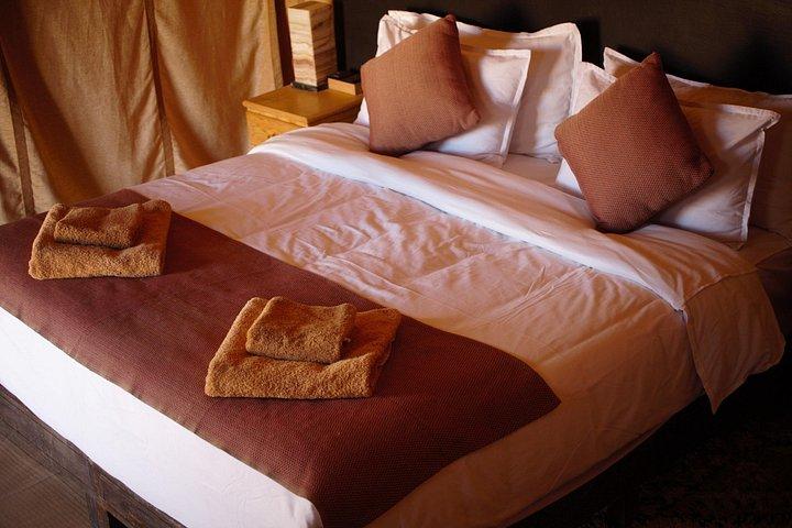 Camel Ride & Overnight in Desert Camp Merzouga