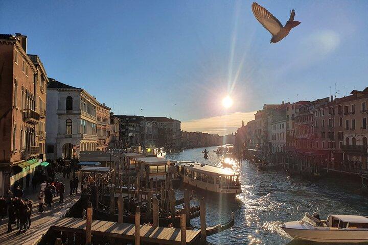Tour Accompanied by St. Mark's Square and Rialto Bridge