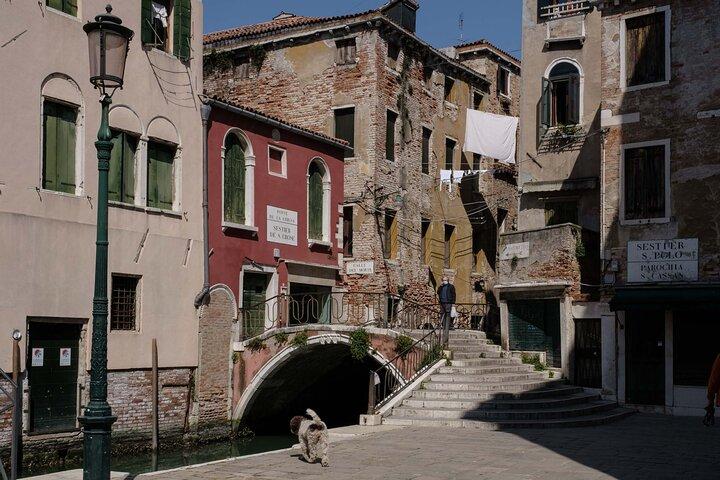 Tour Accompanied by St. Mark's Square and Rialto Bridge