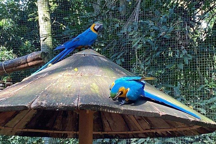 ブラジル滝とアルゼンチン滝の1日プライベートツアー