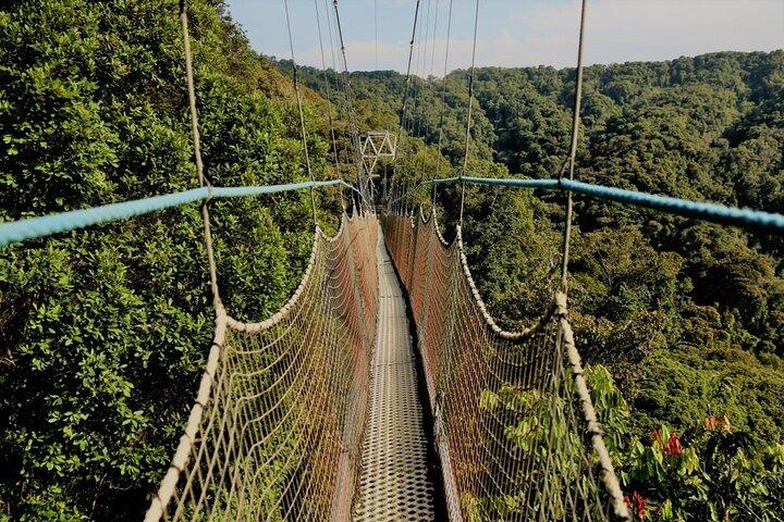 Kigali Rwanda Zip Line äventyrstur