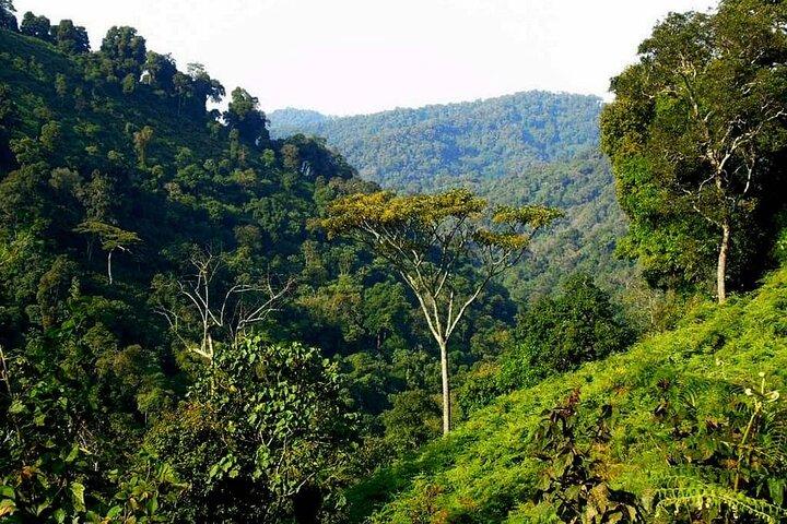 Kigali Ruanda Zip Line Abenteuer Tour