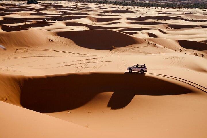 Qatar Desert Safari Adventure Experience.