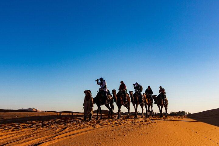 Qatar Desert Safari Adventure Experience.