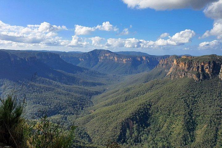 Blue Mountains Hidden Routes: Wild Kangaroos, Windsor & Falls