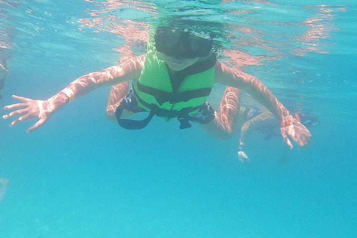 Swim with sea turtles