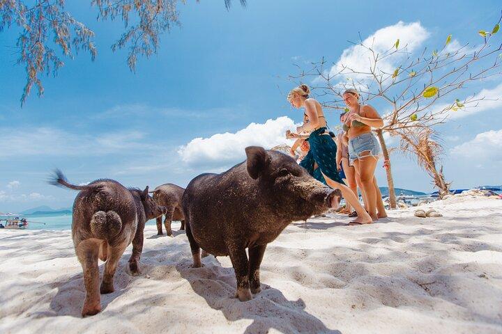 Excursão de Speedboat em Koh Samui para Koh Madsum e Koh Tan com snorkeling
