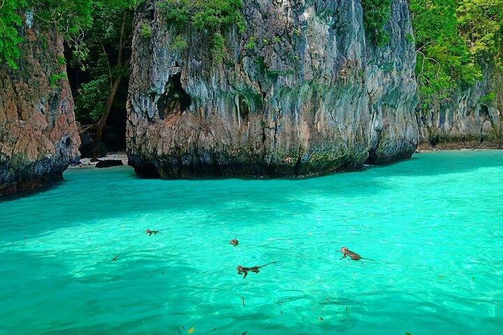 De Phi Phi : Matin/Après-midi Excursion sur l'île de Phi Phi