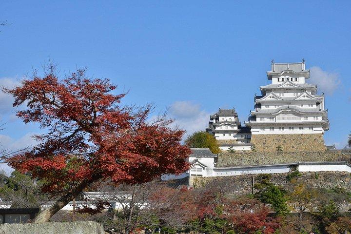 京都発：日本語刀ワークショップ＆姫路城ガイドツアー