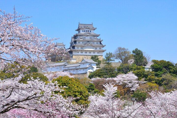 京都から日本語刀ワークショップ＆姫路城ガイドツアー