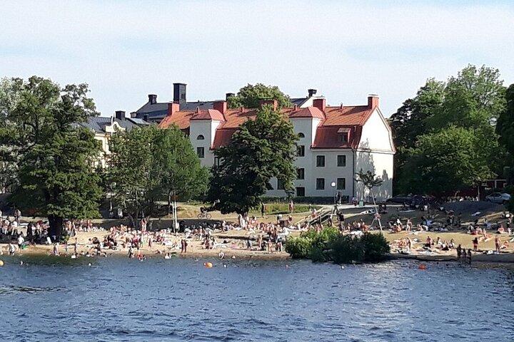 10 uur Lake Mälaren Villages dagtocht vanuit Stockholm