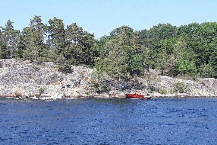 10 uur Lake Mälaren Villages dagtocht vanuit Stockholm